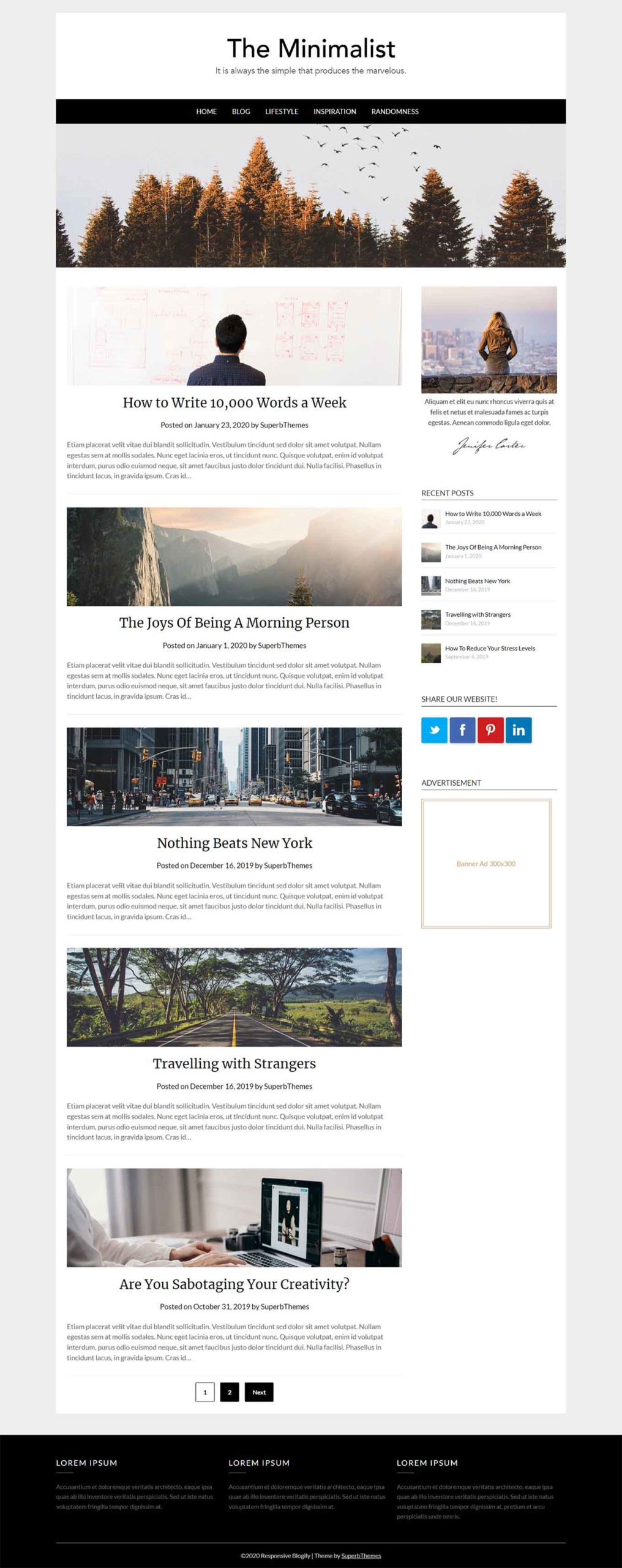 35+ Best Simple & Clean WordPress Blog Themes 2024 (Free & Premium