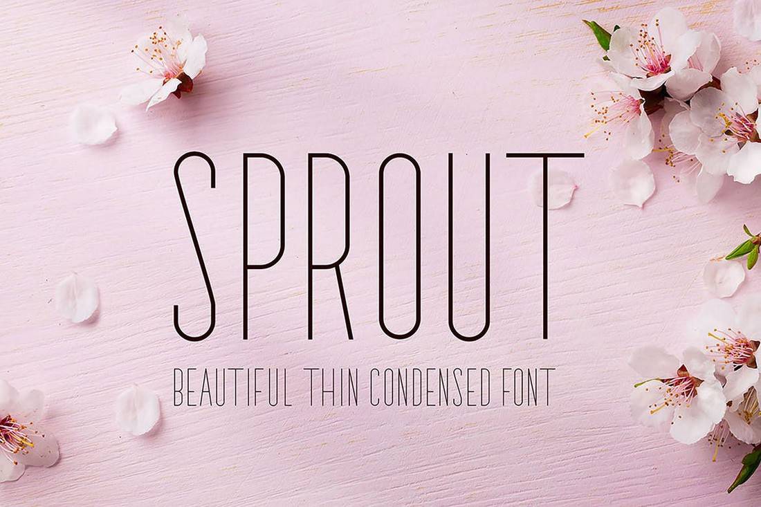 Sprout - Condensed Sans Serif Font