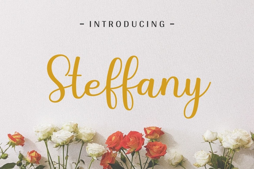 Steffany - Handwriting Wedding Font