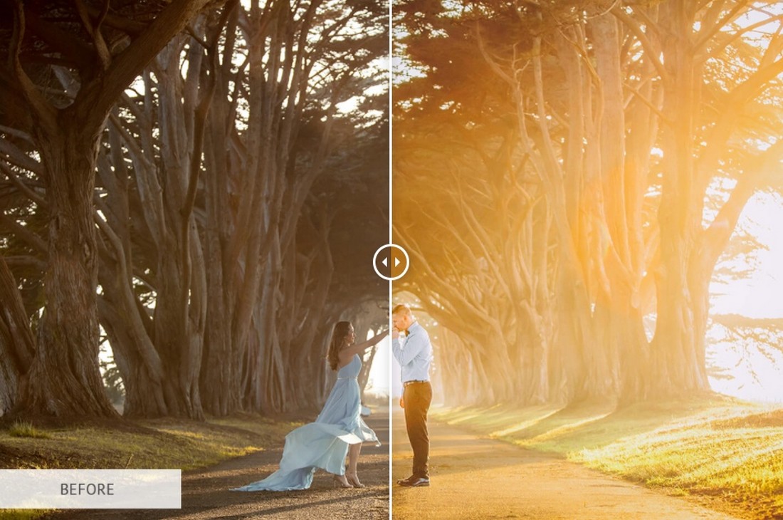 Sunny Day - Free Lightroom Wedding Preset