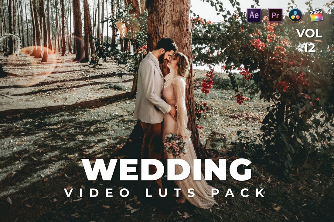 Trendy Wedding Video LUTs