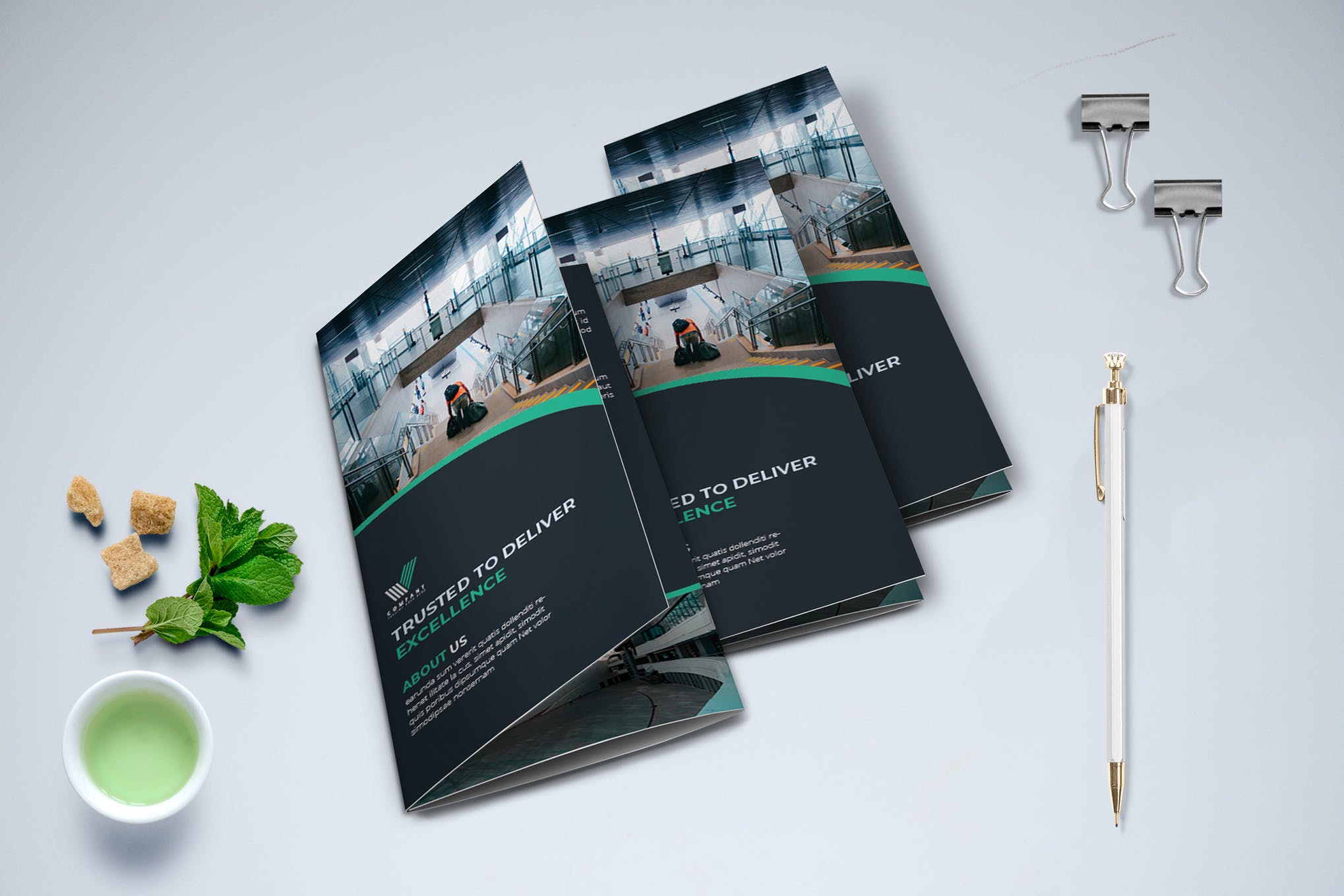 Trifold Business Brochure