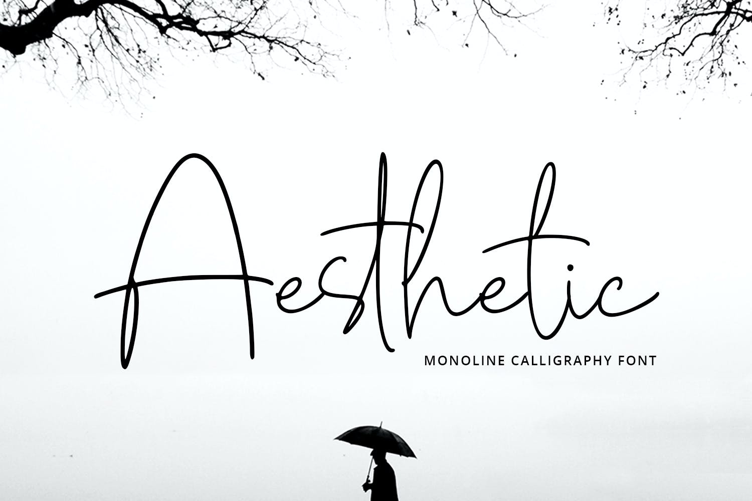 Aesthetic Delicate Serif