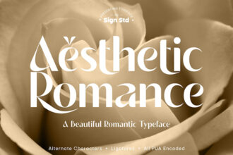 25+ Best Aesthetic Fonts for Elegant Designs