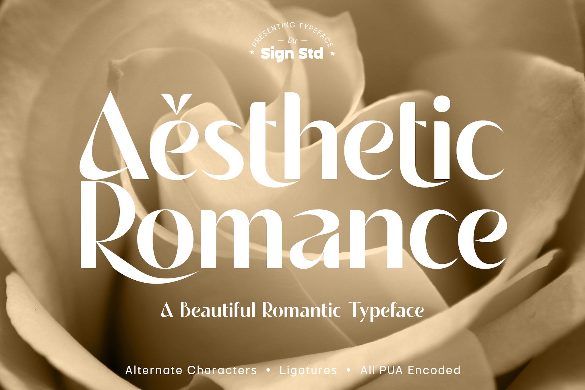 Aesthetic Romance Serif