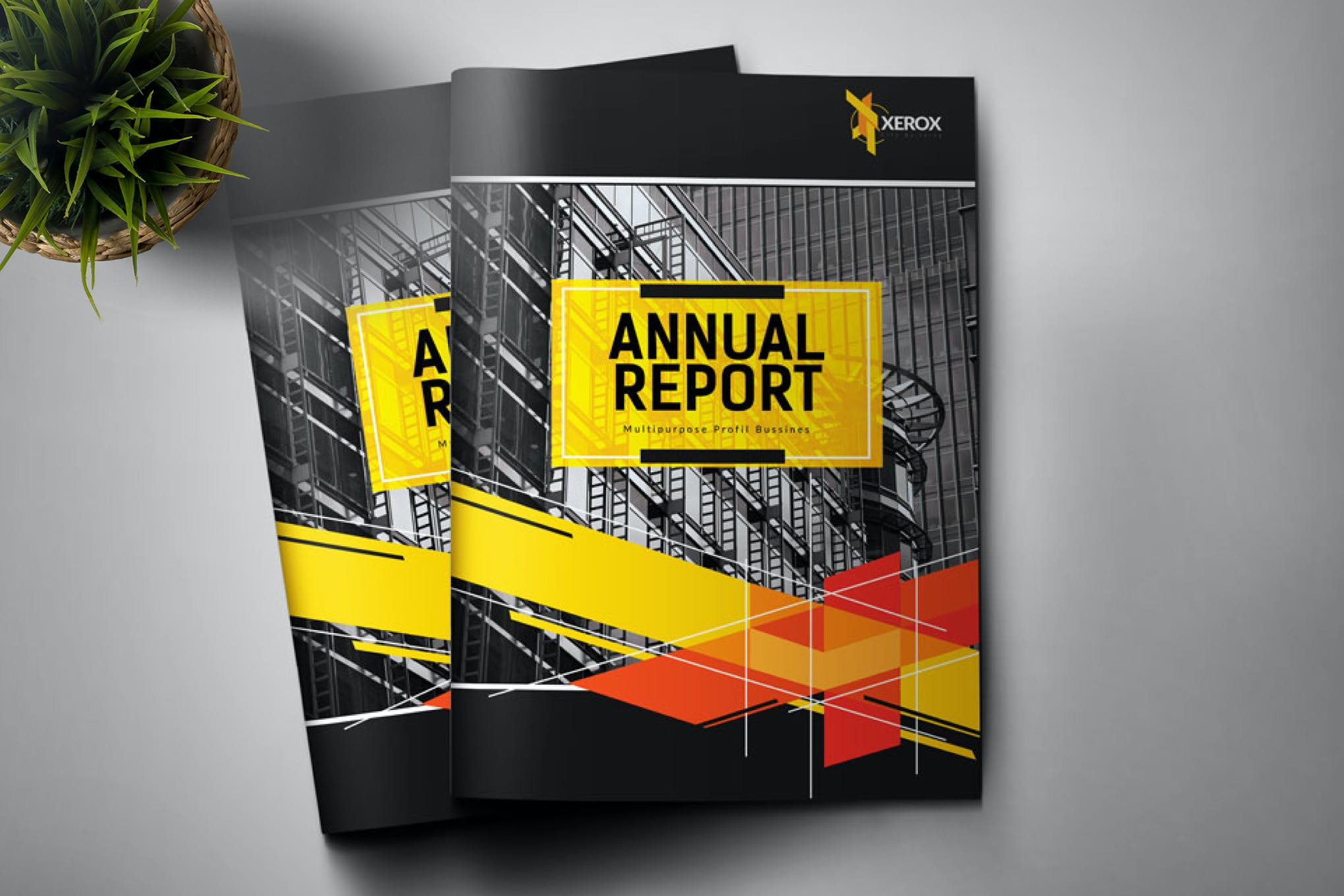 annual report template