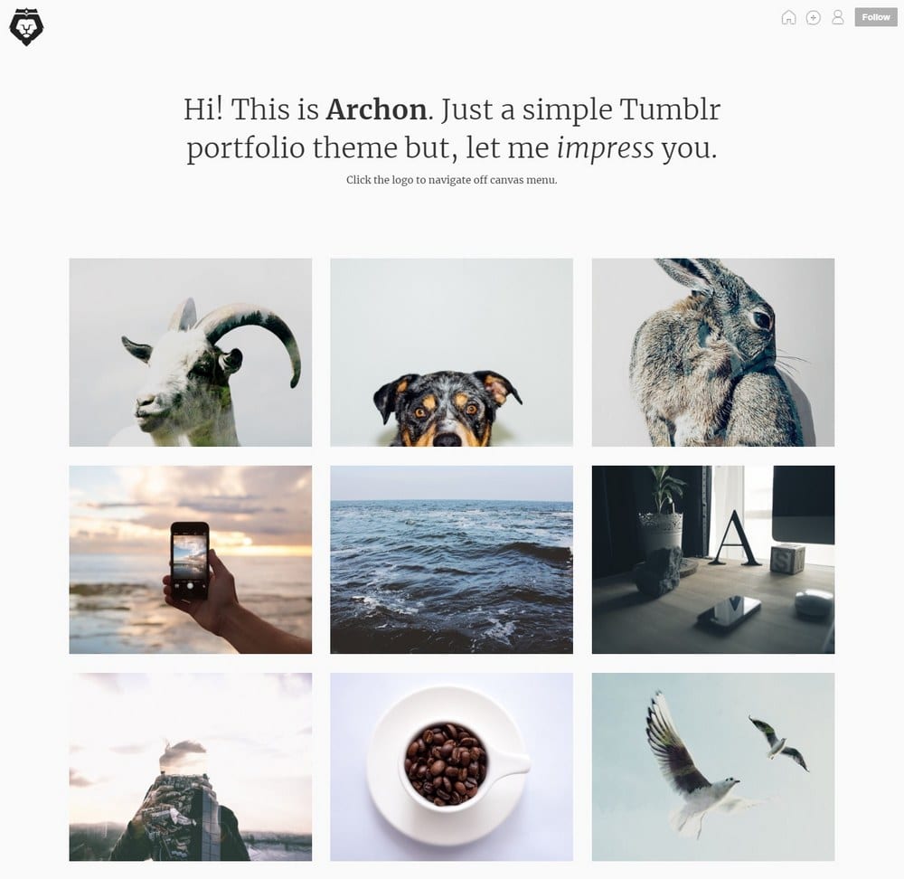 archon-grid-tumblr-theme