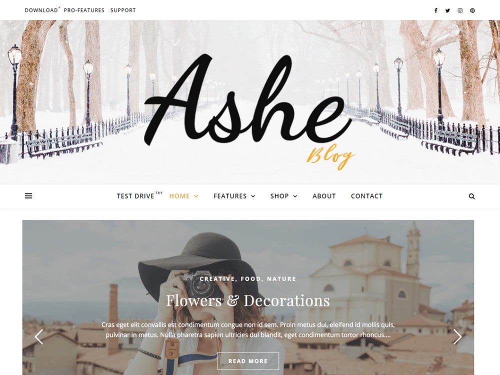 ashe-free-wordpress-theme