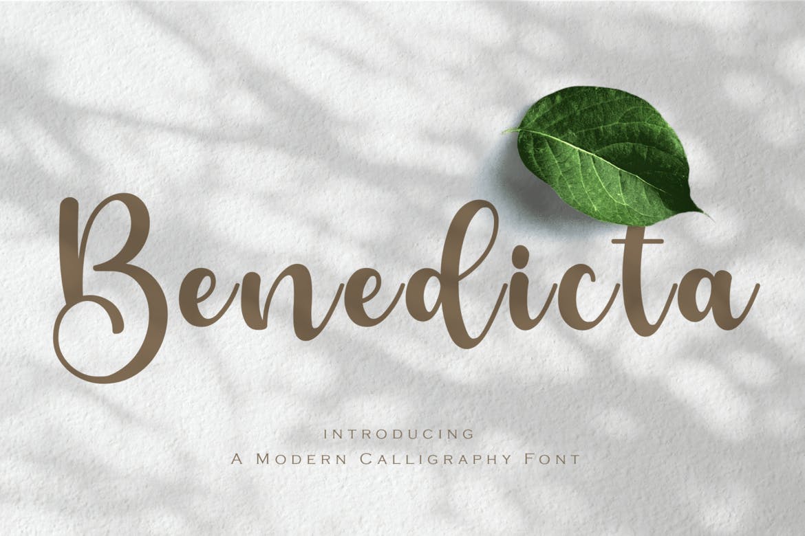 Benedicta Script Font