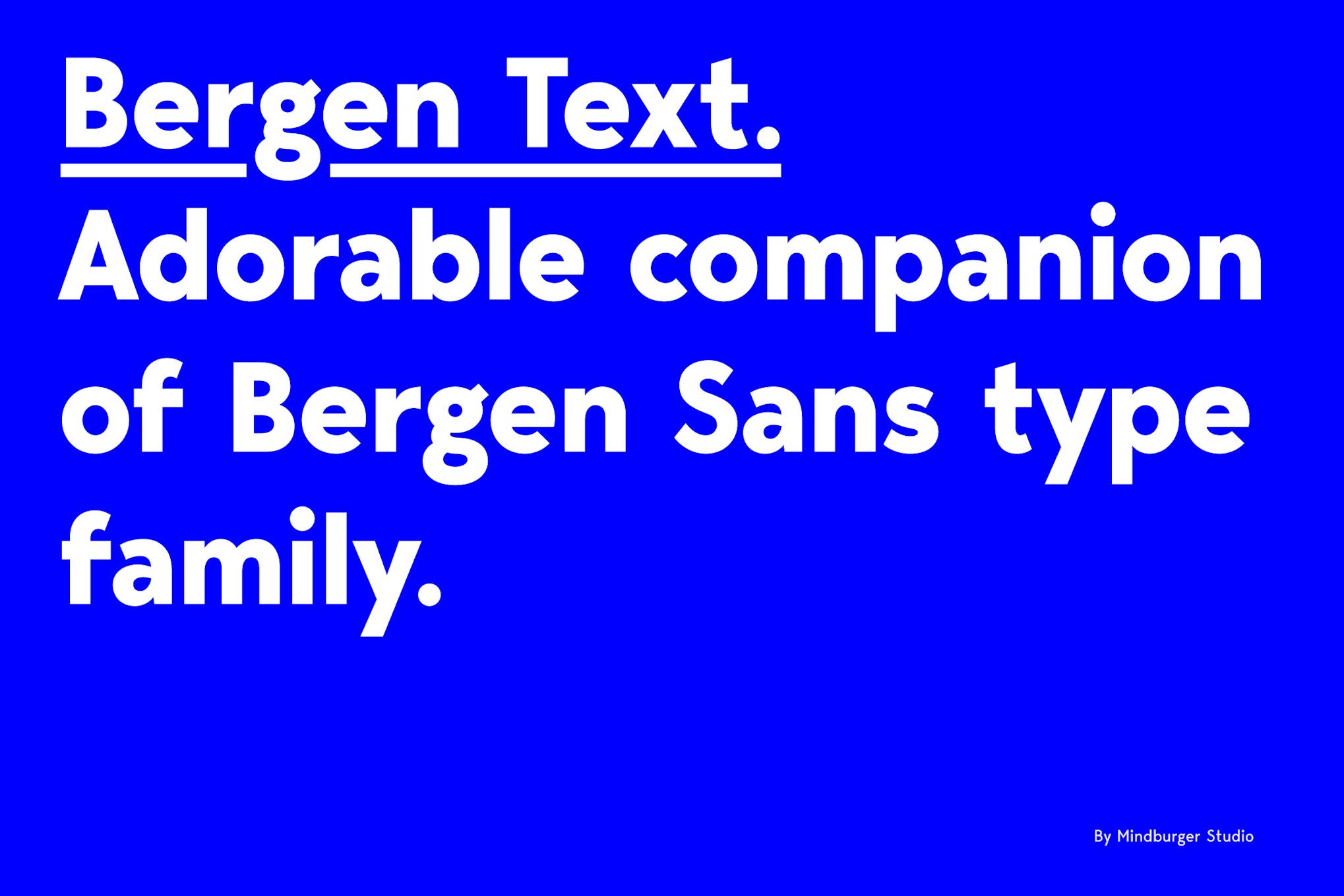 Bergen Text Typeface