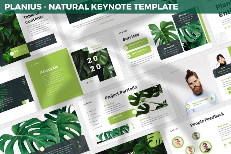 keynote presentation template video