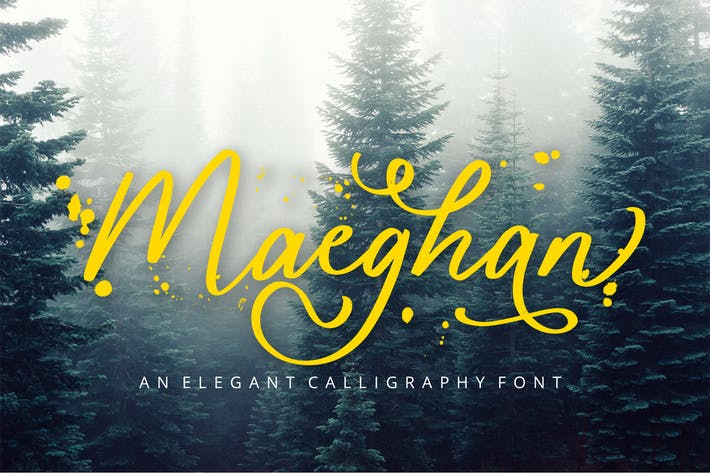 30 Best Calligraphy Fonts 2021 Theme Junkie