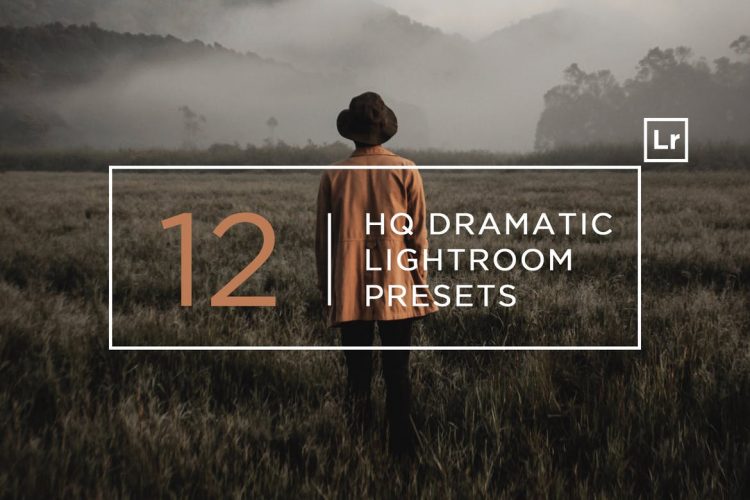 vsco lightroom presets