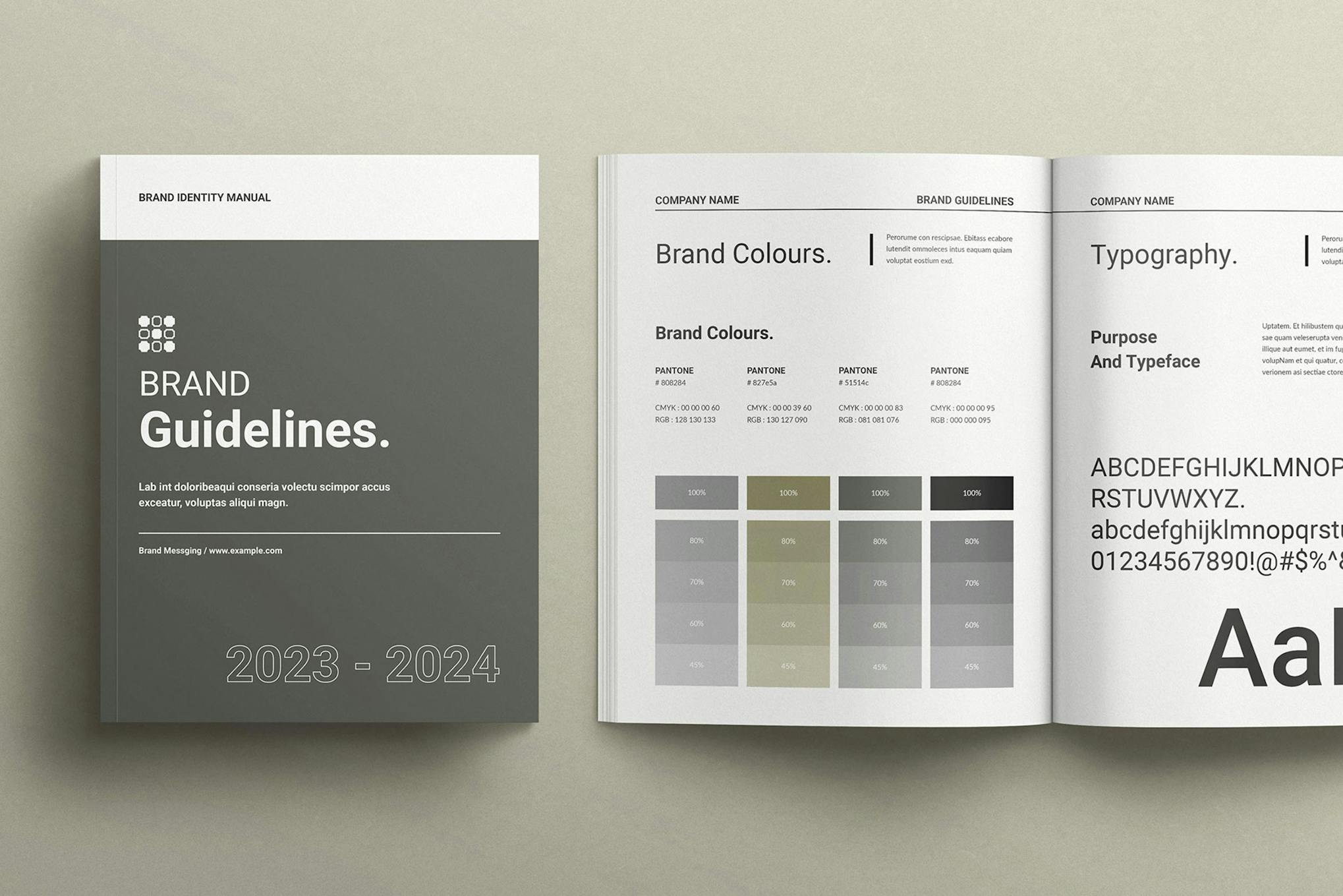 Brand Guidelines Template for InDesign