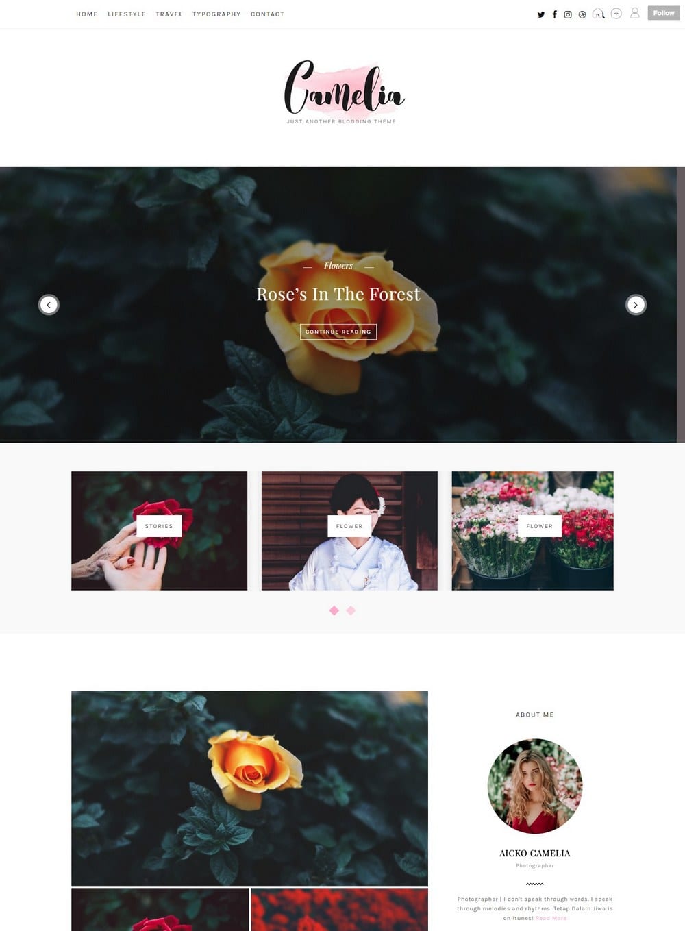 camelia-cute-tumblr-theme