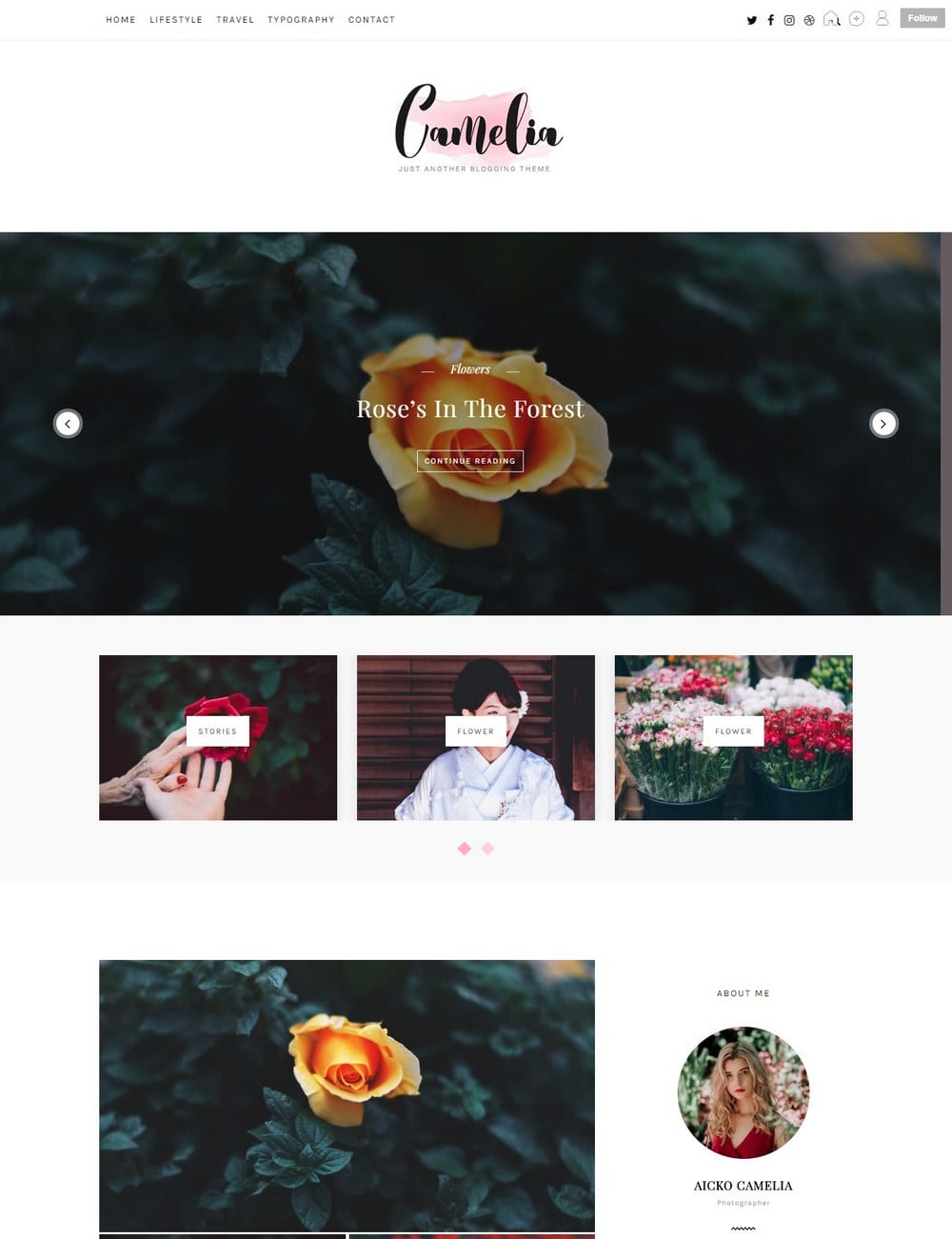 camelia-pastel-tumblr-theme