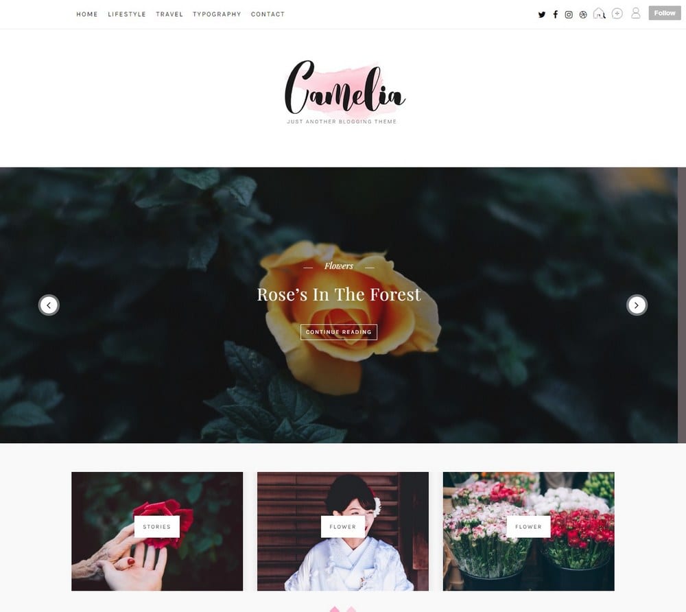 camelia-travel-tumblr-theme