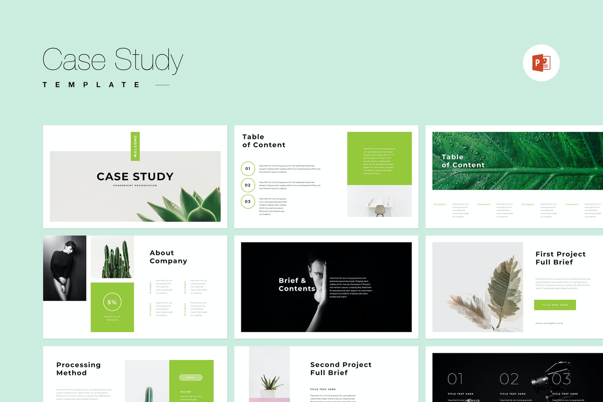 Case Study PowerPoint Template