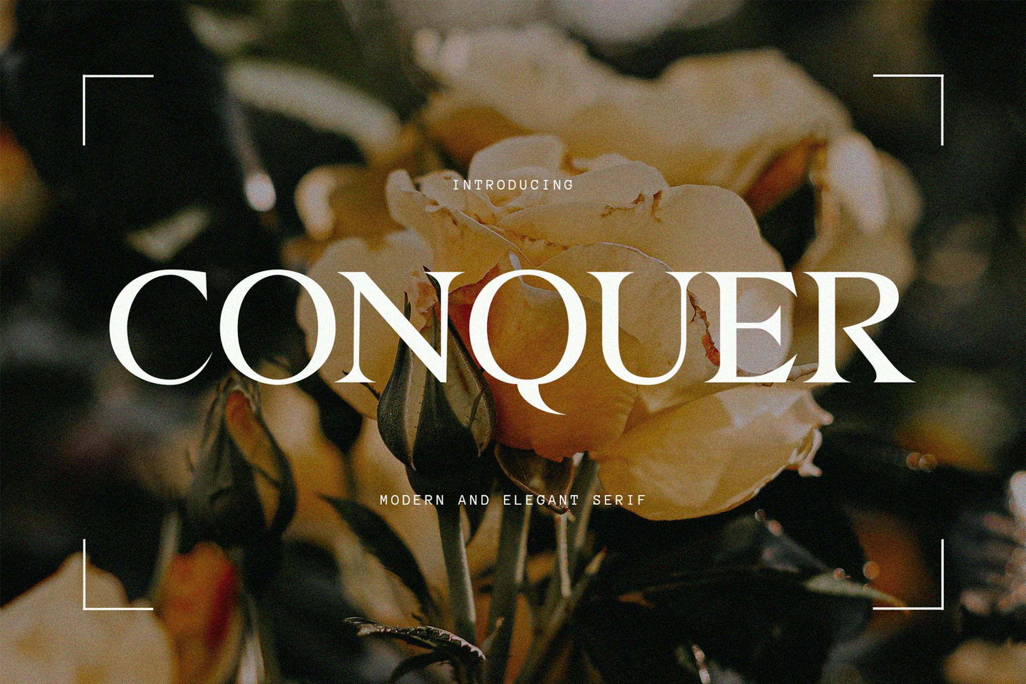 Conquer Modern Serif