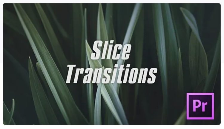 45+ Free Premiere Pro Video Transitions to Download (Cool & On Trend