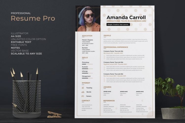 Creative Resume Template from www.theme-junkie.com