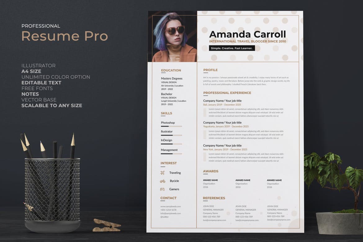 resume template for creative professionals