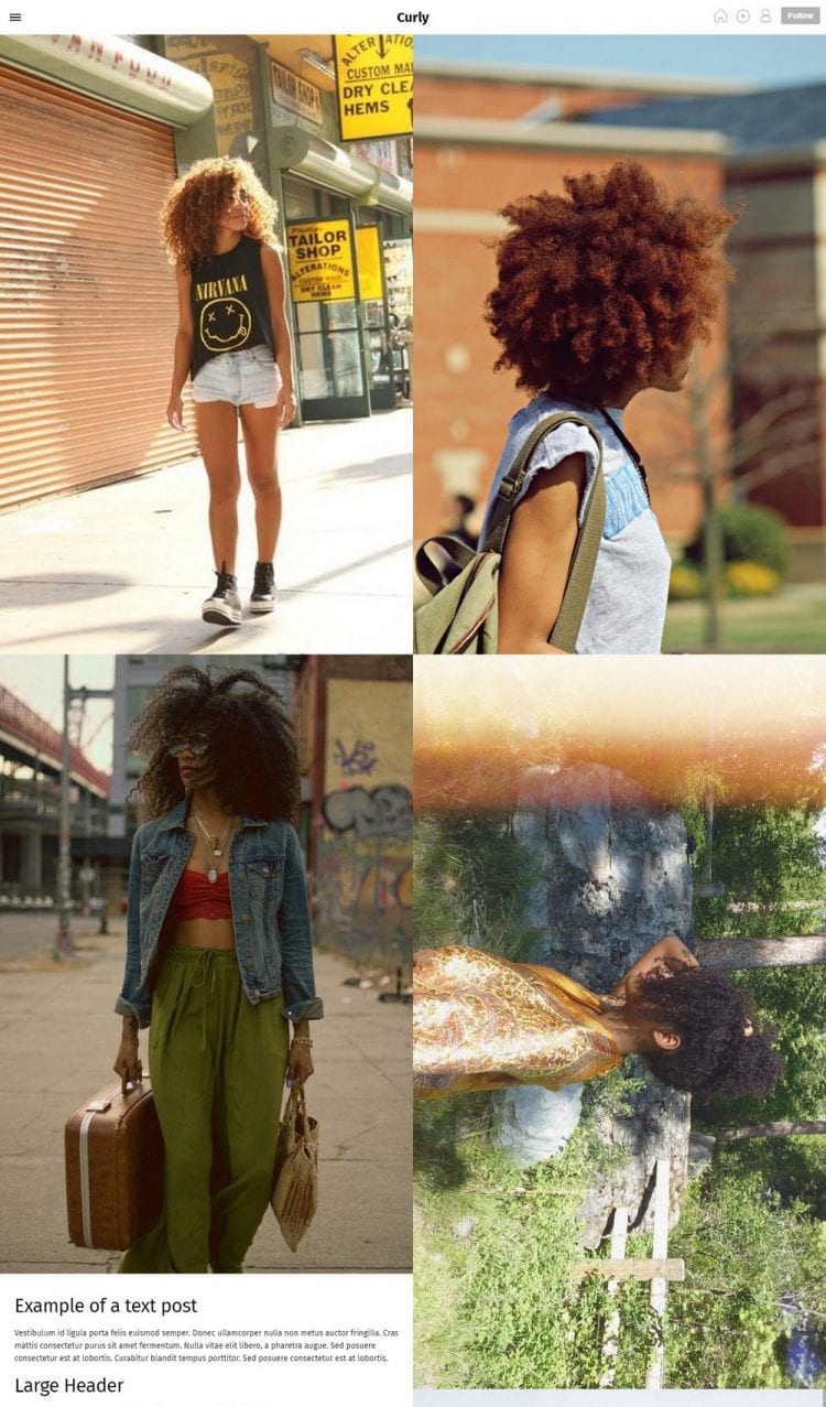 20+ Best Tumblr Themes for Photographers Theme Junkie