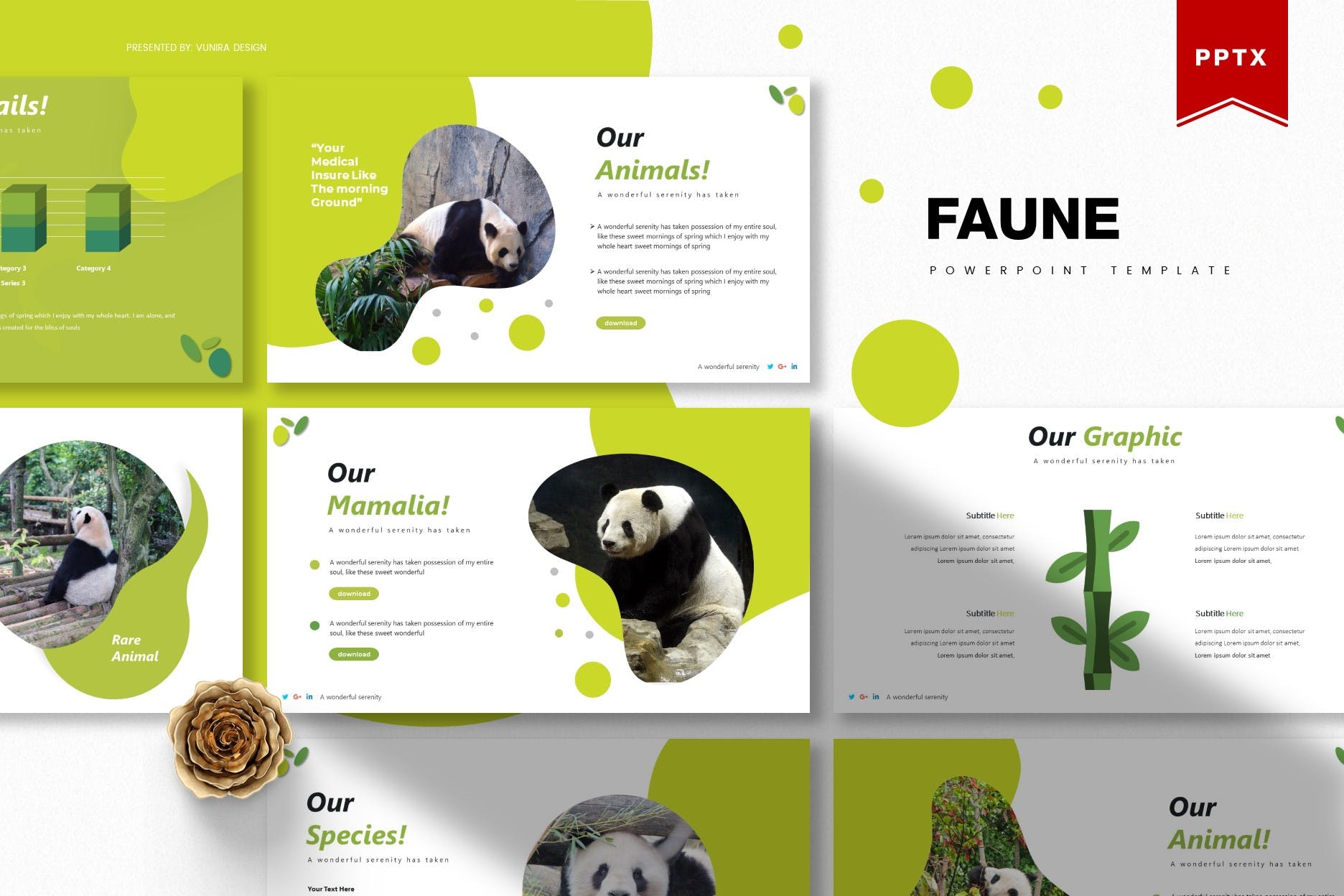 presentation templates cute