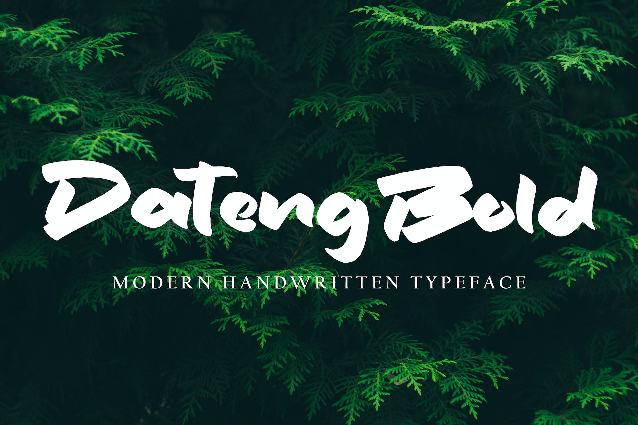 Dateng Bold Typeface