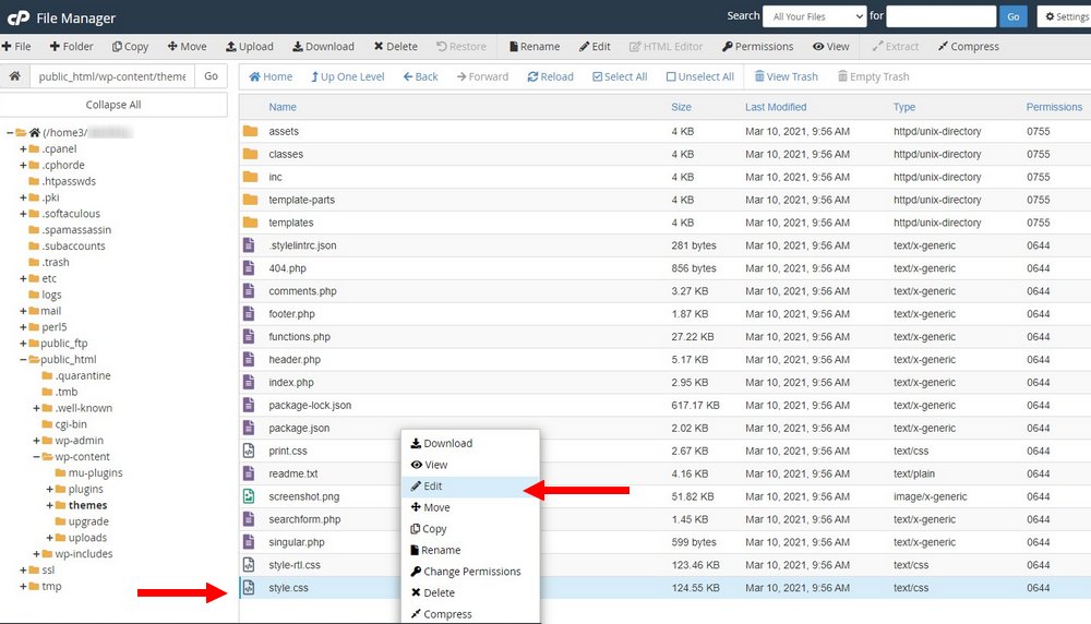 edit css in cpanel 3