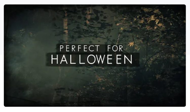 after effects text animation template
