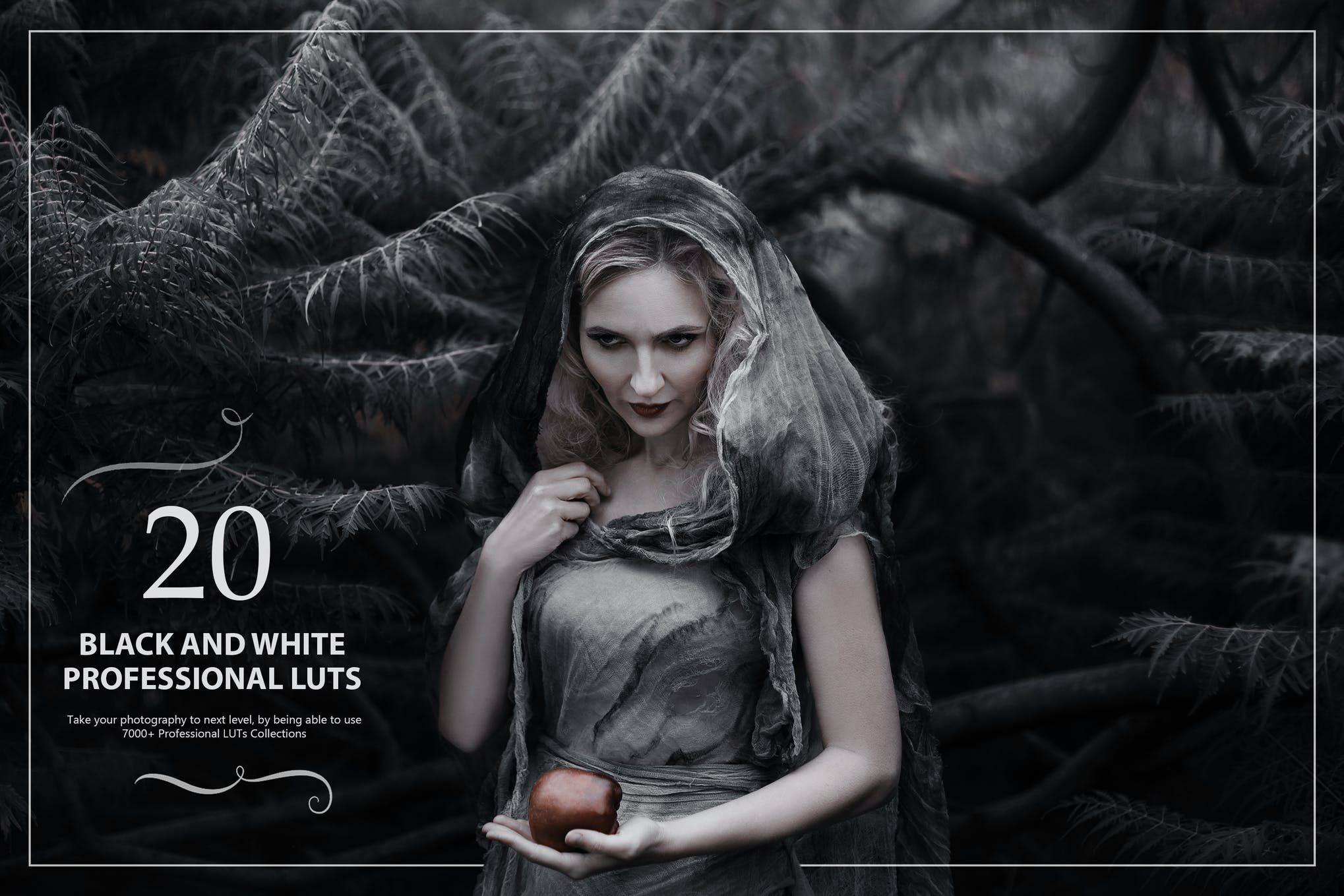 20+ Preset Lightroom Hitam dan Putih Terbaik (+ Preset Satu Warna