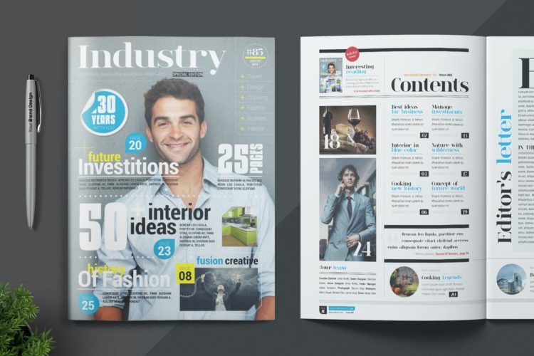 35+ Best InDesign Magazine Templates (For Mag Projects in 2024) Theme