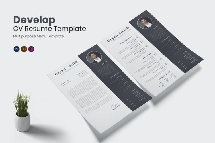 50 Best InDesign Resume Templates - Free Indesign Resume Templates 22 750x500 