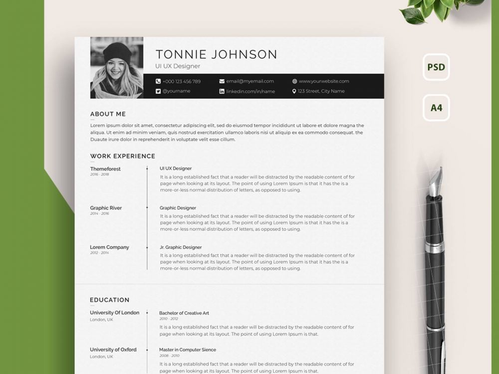 One Page Resume Template Word Free from www.theme-junkie.com