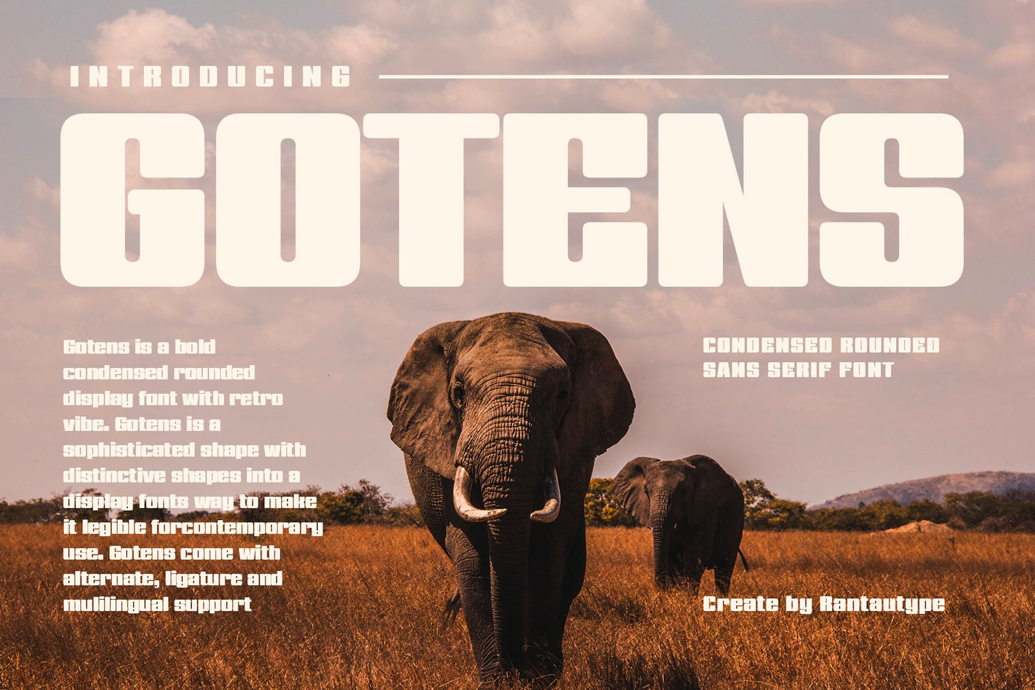 Gotens - Bold Condensed Title Font