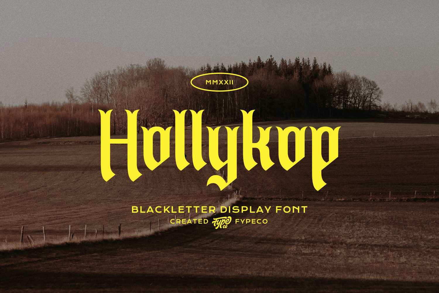 Hollykop Medieval Typeface