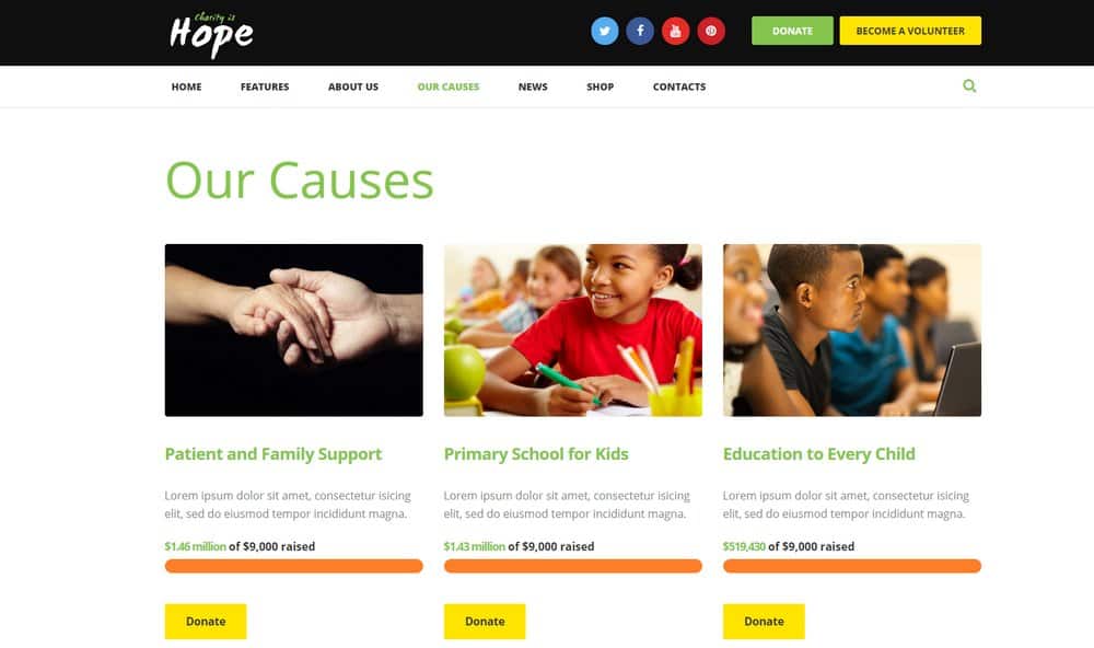 hope-donations-example