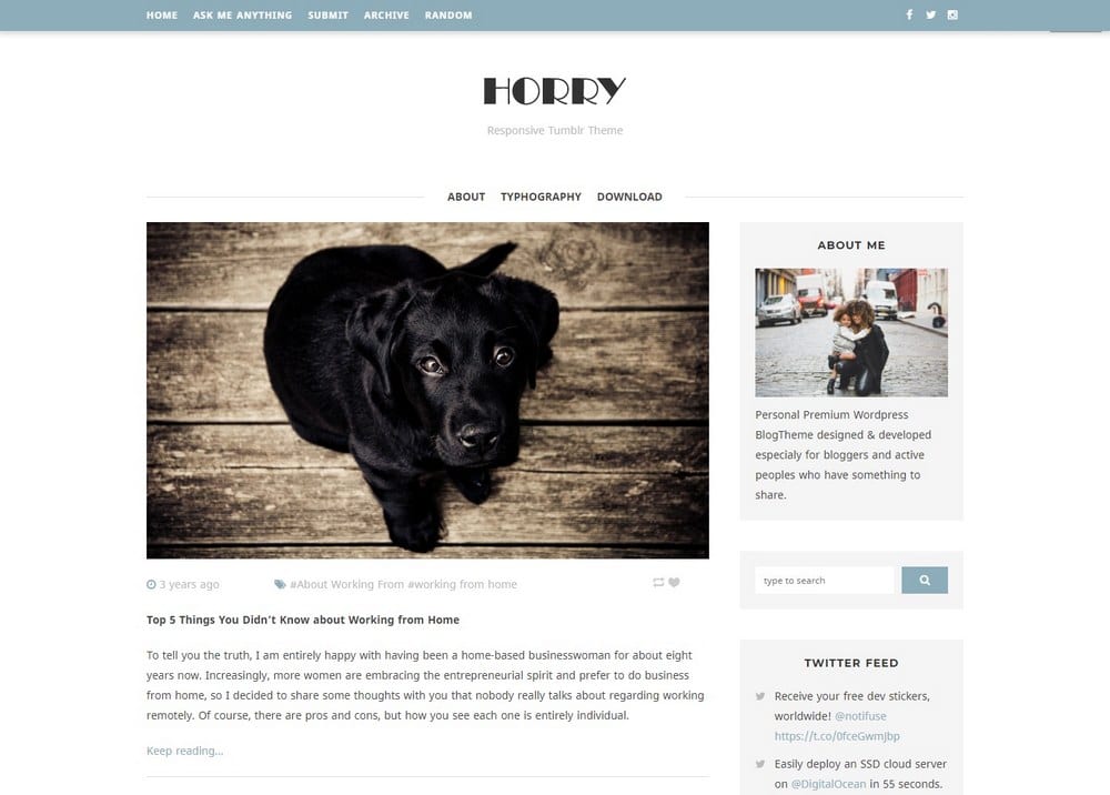 horry-two-column-tumblr-theme