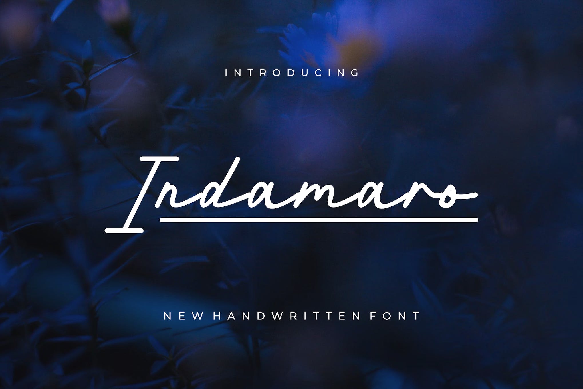 Indamaro - Professional Handwritten Font