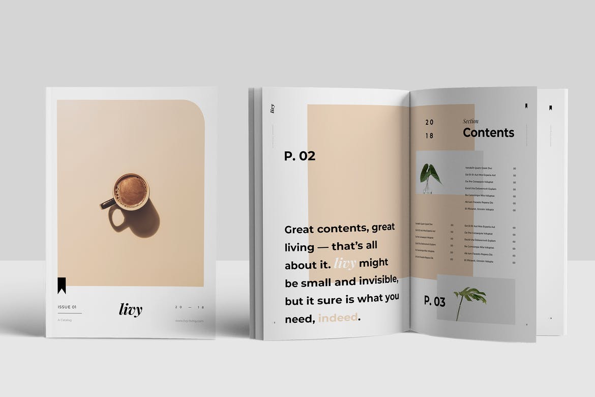 MOCKUPS para catálogos editables en indesign