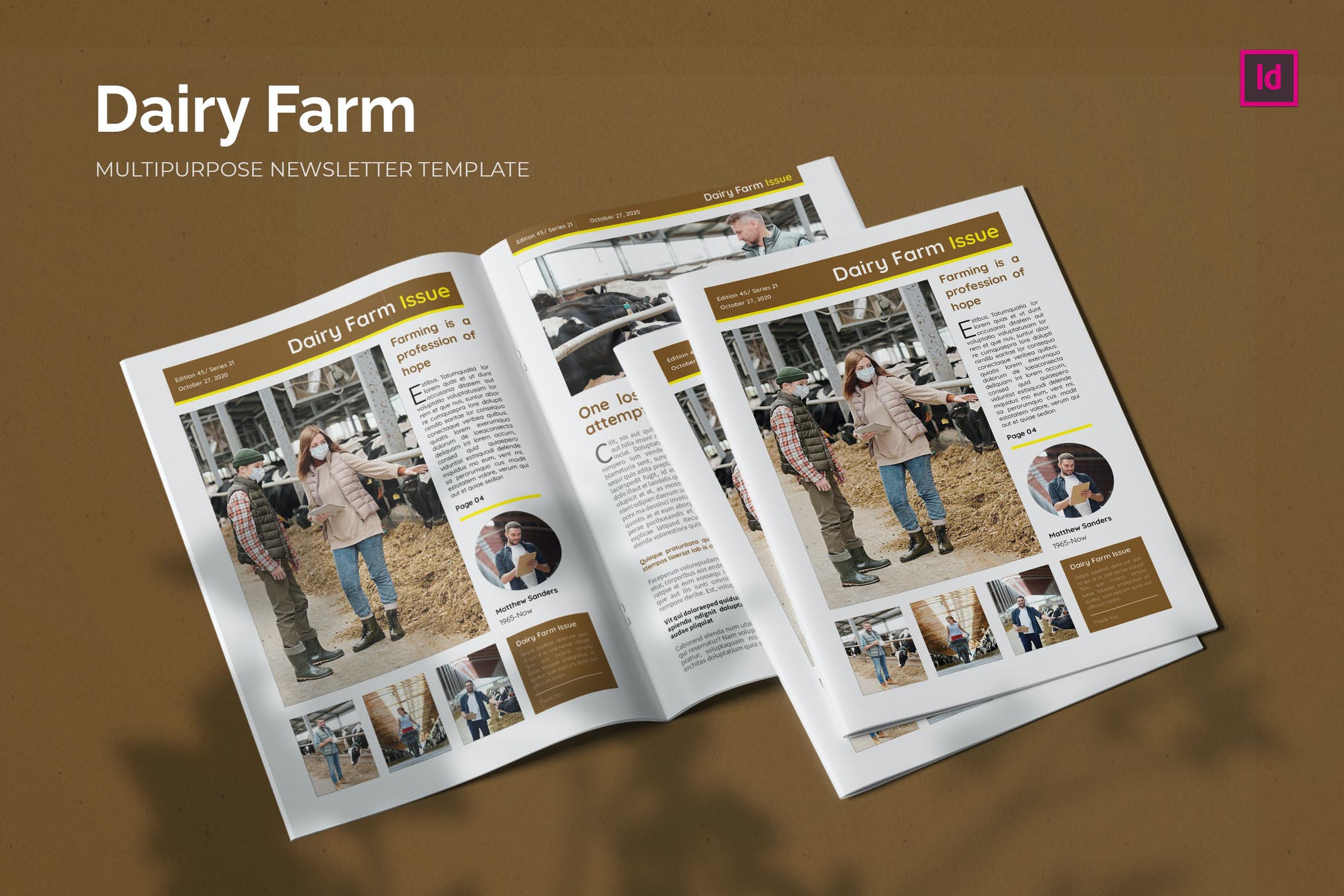 indesign newsletter template