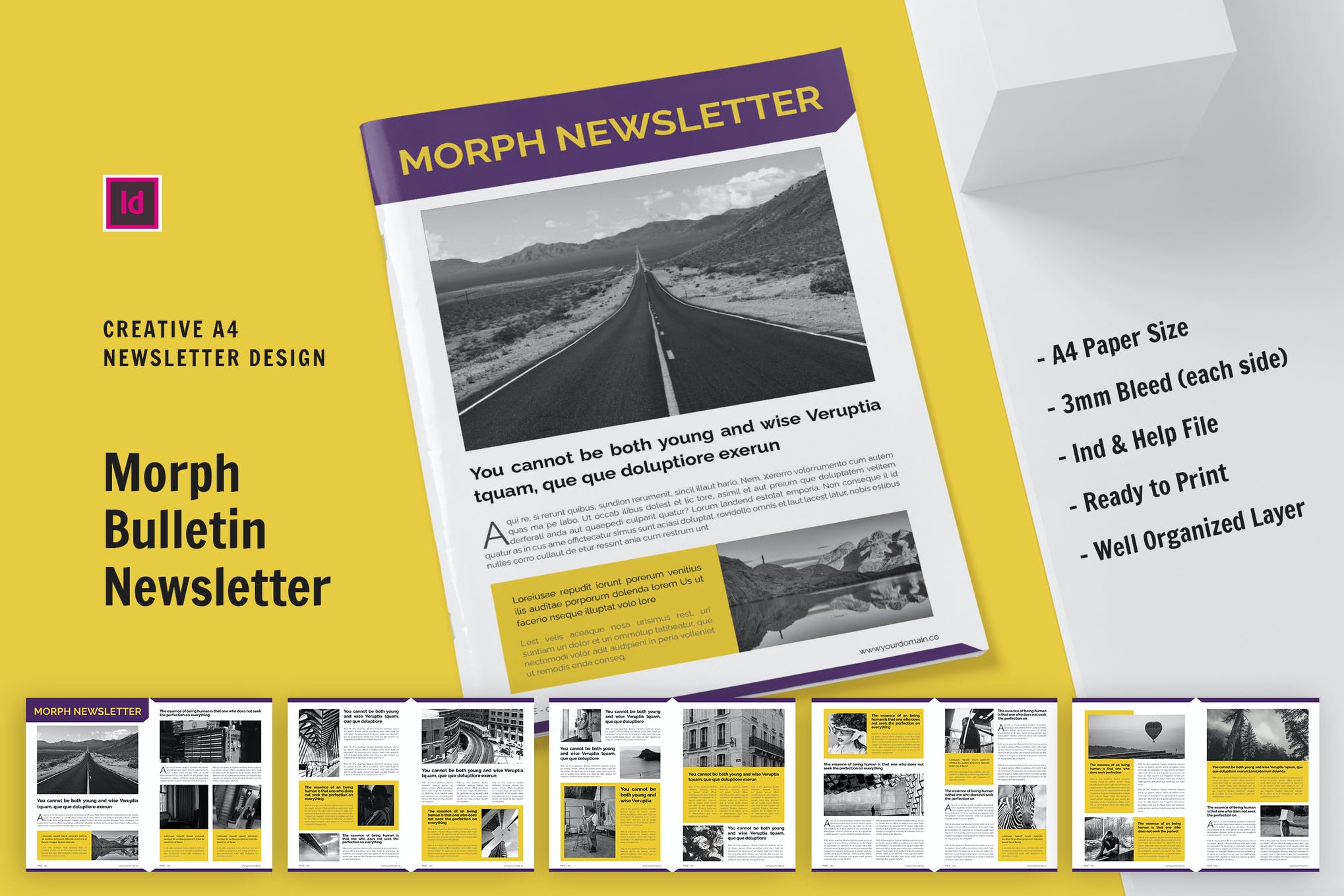 indesign newsletter template