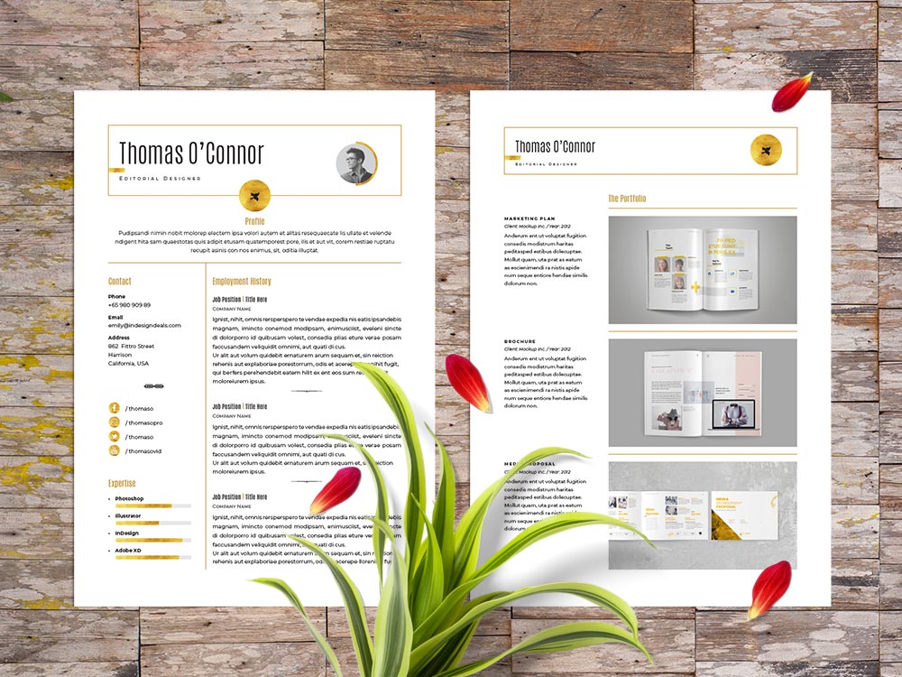 resume template indesign free download