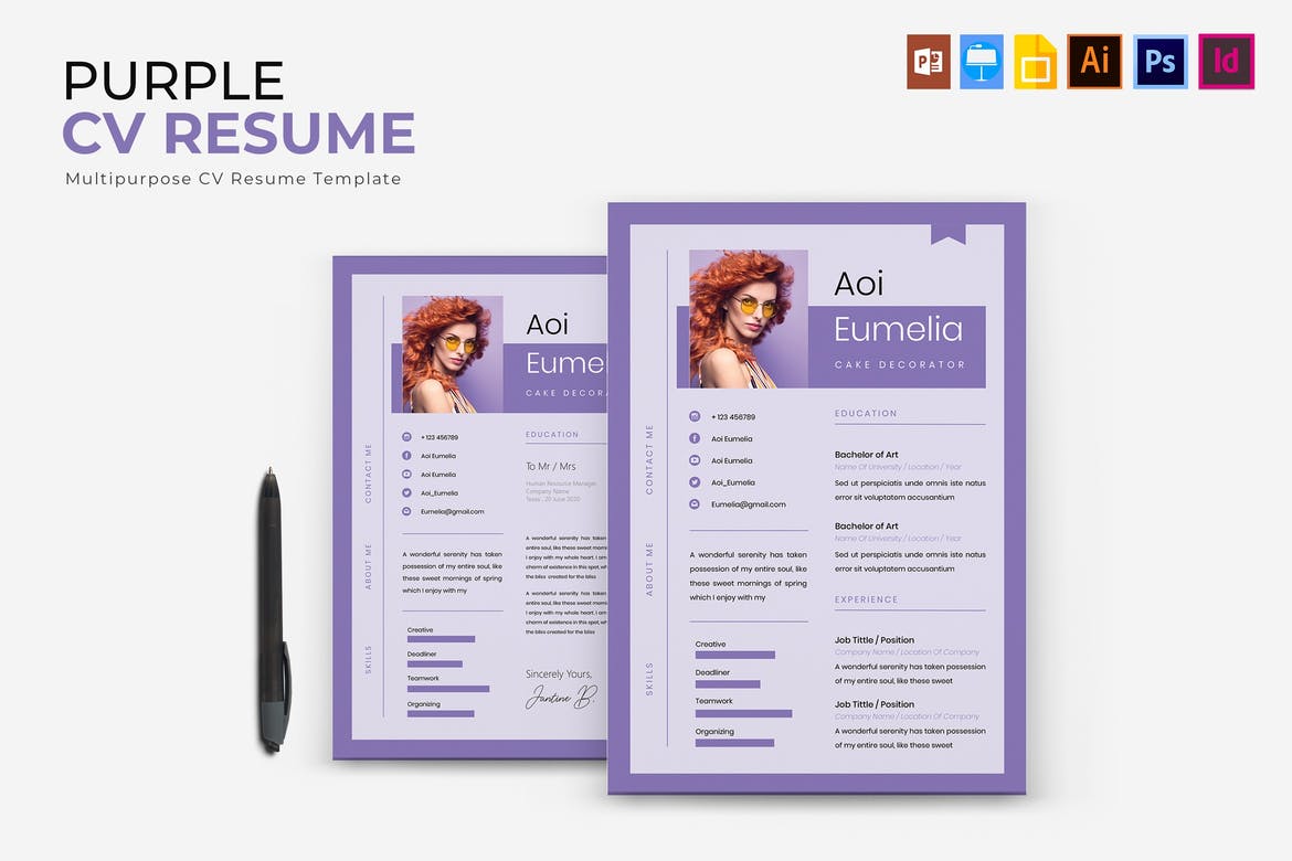 resume template indesign free download