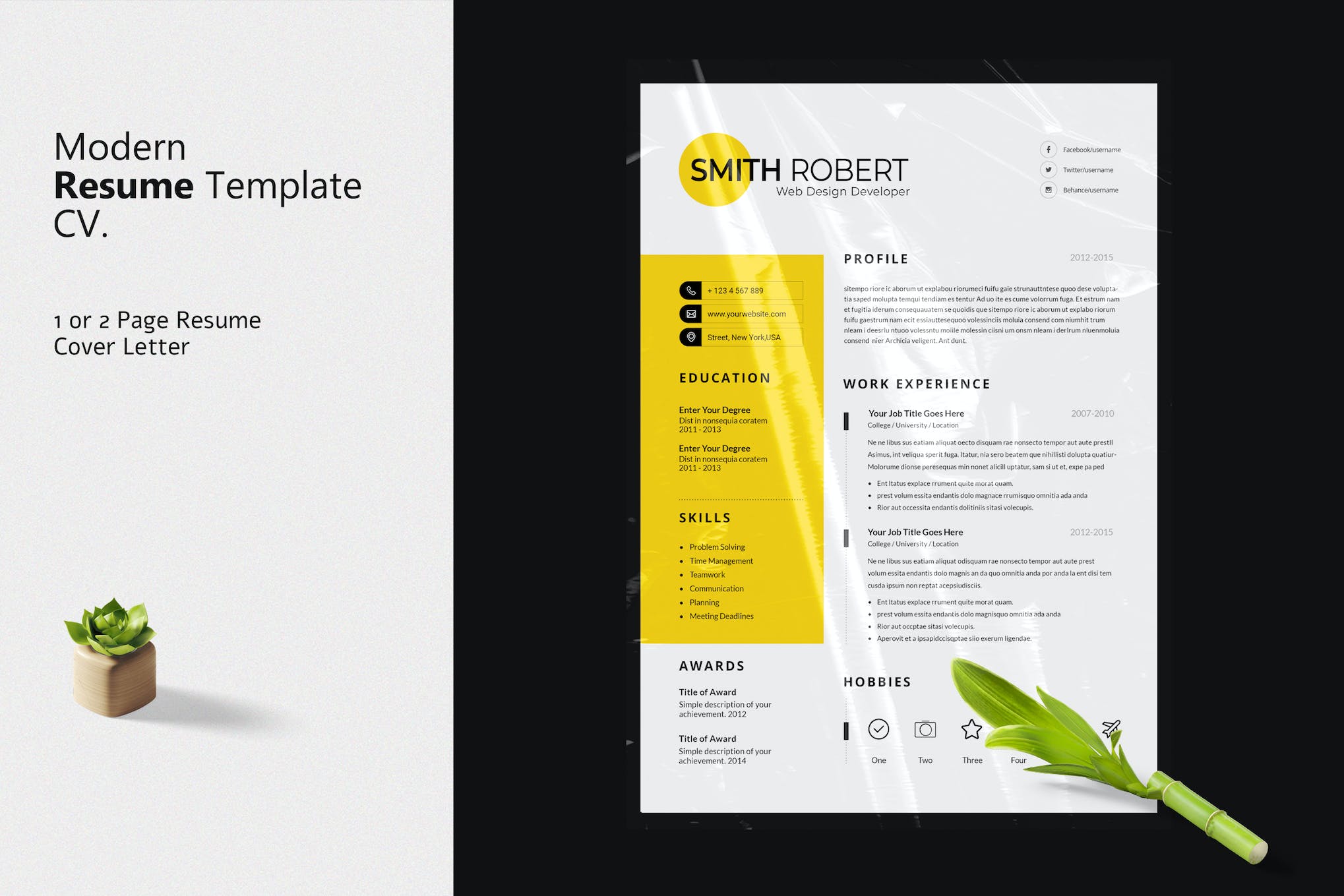 InDesign Resume Template for Developers