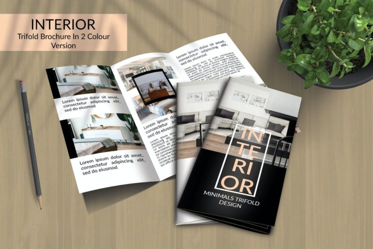 indesign trifold template