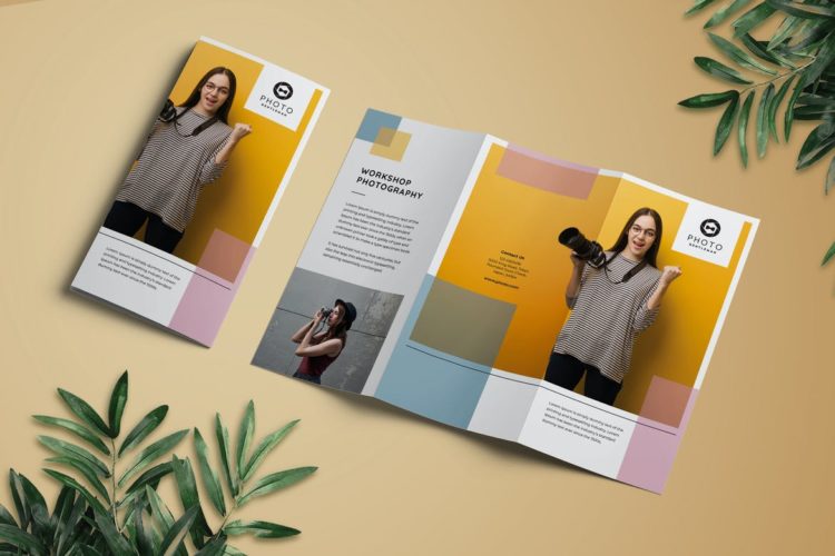 indesign trifold template