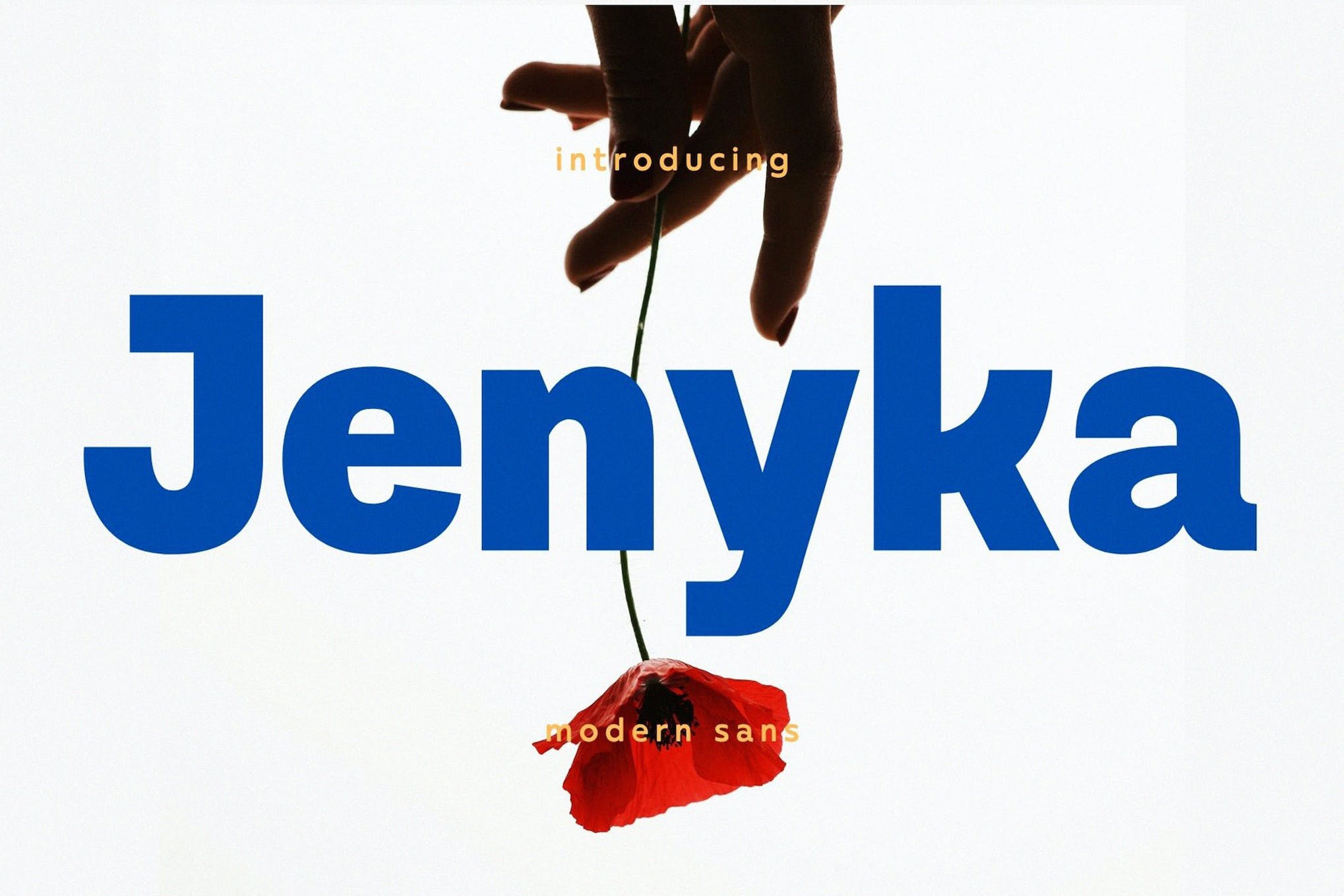 Jenyka Modern Sans