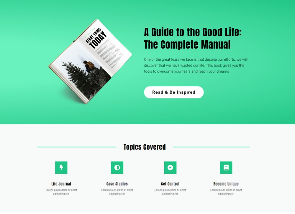 landing page example